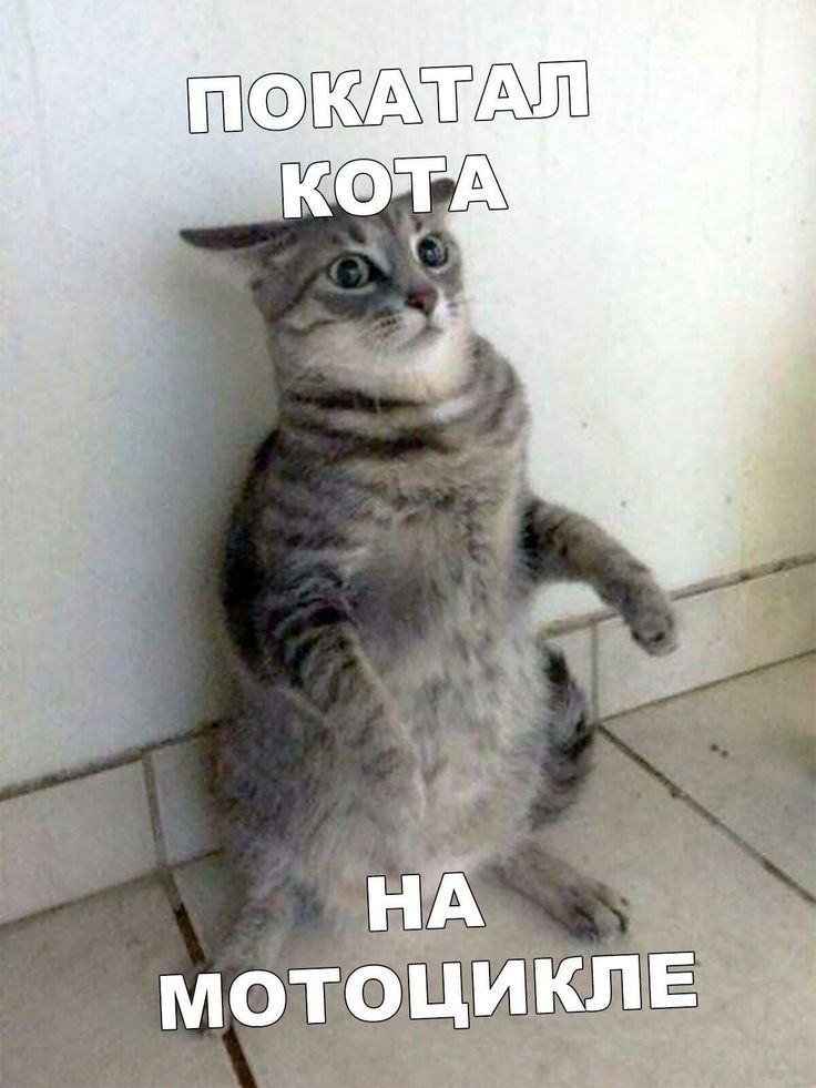мотоцикле