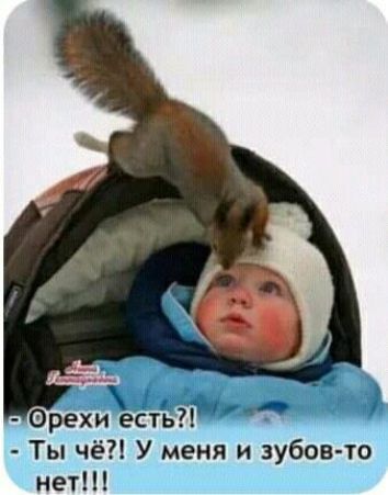 Орехи есть Ты чё У меня и зубов то нет