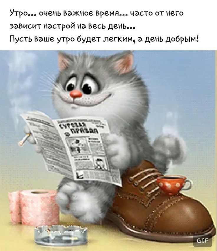 Утро ечзнь взжное время часте от него зависит настрой на вевь день Пусть Ваше утро будет легким день добрым