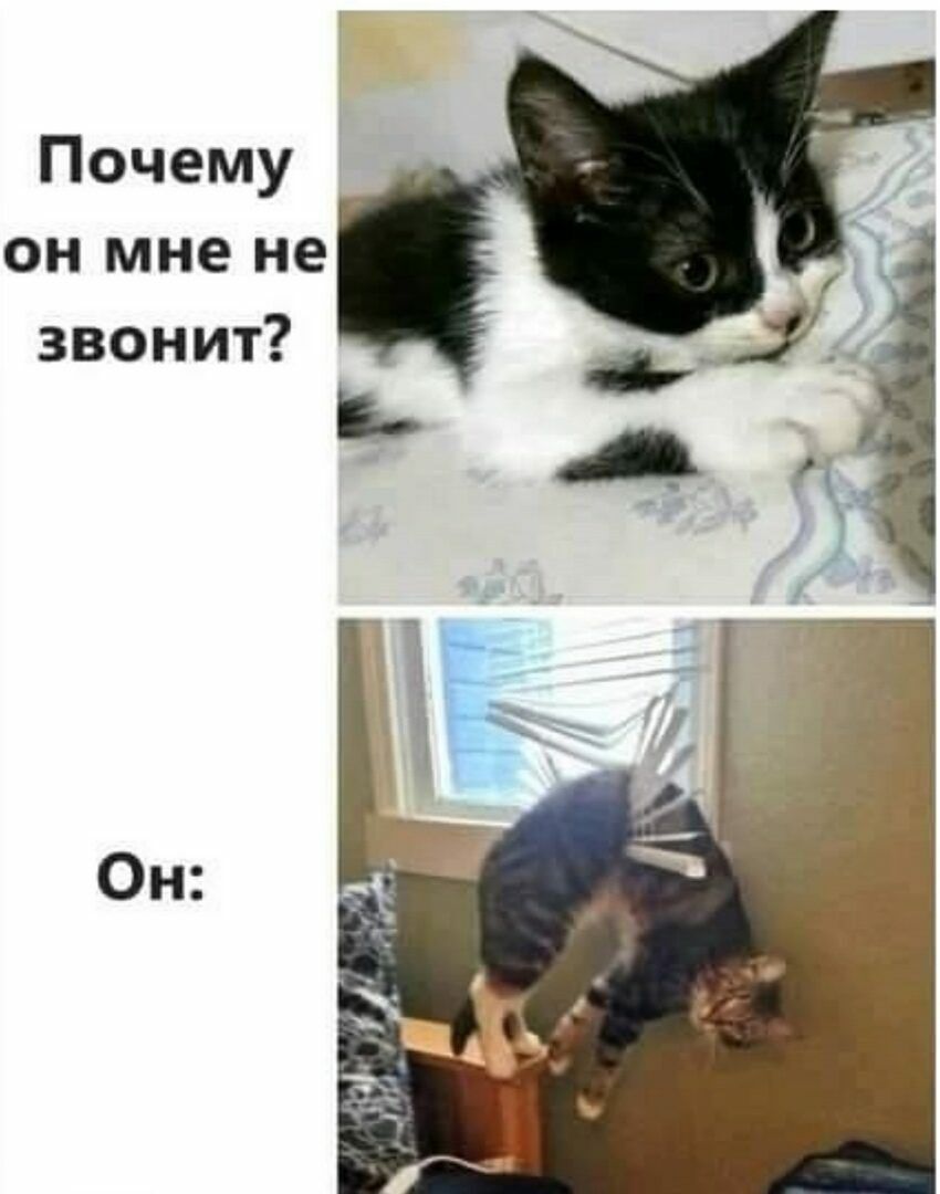 Почему он мне не звонит