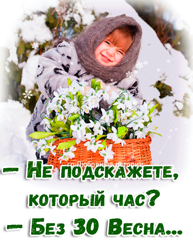 пцдскджвть кожаный ндс 553 130 Веснд