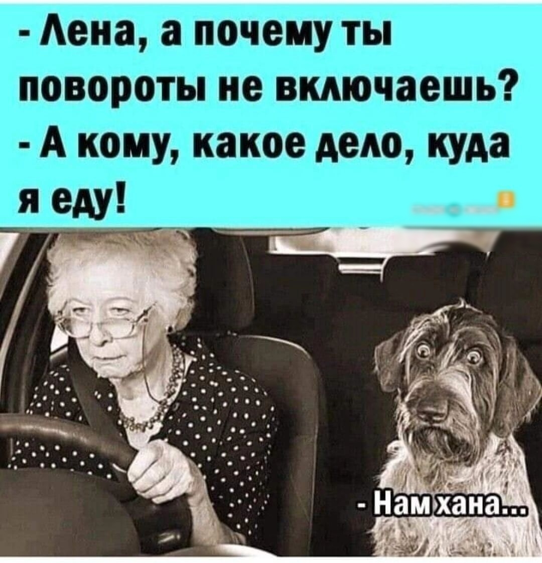 г окладу ш джнани 419 ШШЮШЭЁ эЗ ЩС 13156