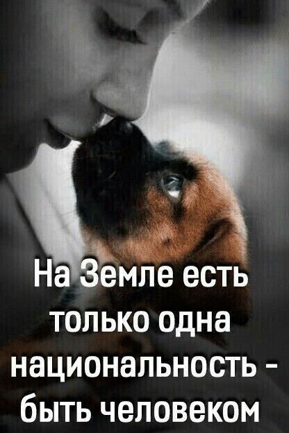 Н емле есть только одна национальность быть человеком