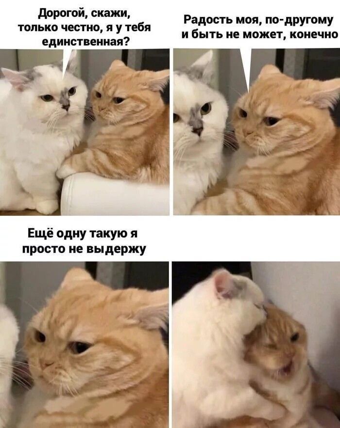 дрй скажи только чести и у тбл единственная Ещё одну такую я просто не ыдержу Радость исп пит другому и Быть не мпжп конечно