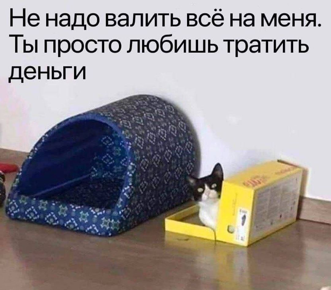 Не надо валить всё на меня Ты просто любишь тратить деньги