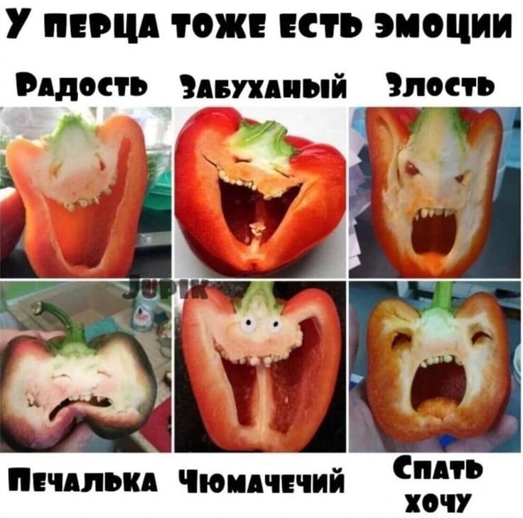 У пищи тоже есть ЭМОЦИИ Эвдон ь видный Злость Синь хочу