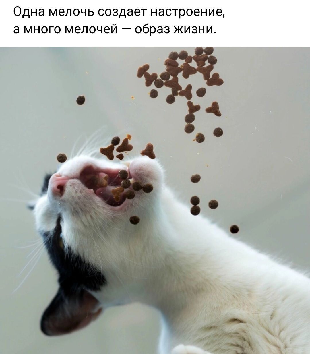 Одна мепсчь создает настроение а много мелочей образ жизни