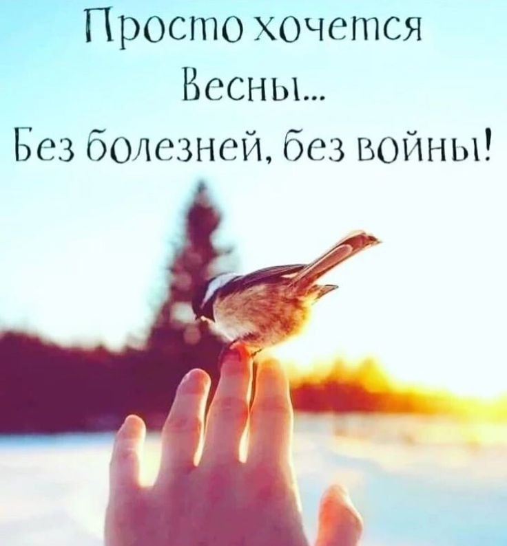 ППросто хочется Весны Без болезней без войны