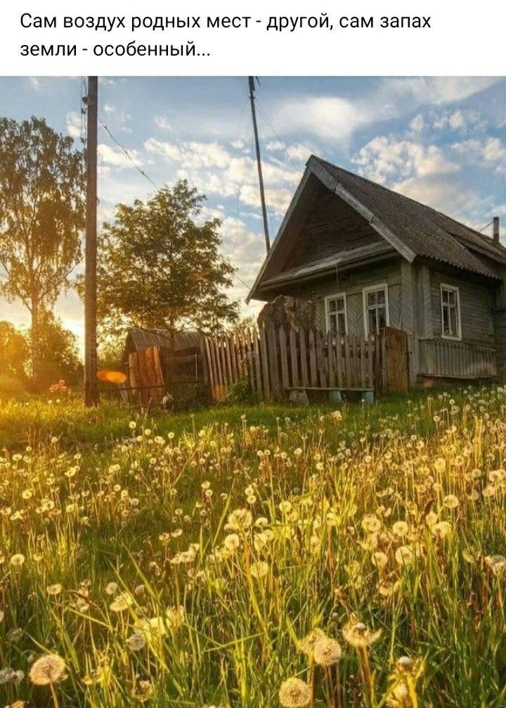 Сам воздух родных мест другои сам запах земли особенныи
