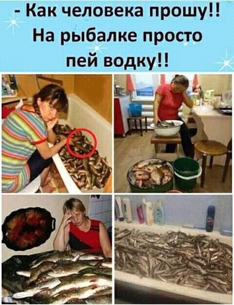 Как человека прошу На рЫбалке просто пей водку