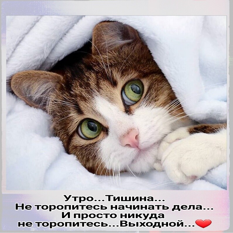 УтроТишииа Не торопитесь начинать дела и просто никуда не торопитесь Вьпходнои_ _