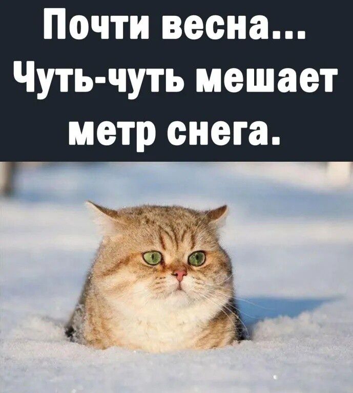 Почти весна Чуть чуть мешает метр снега