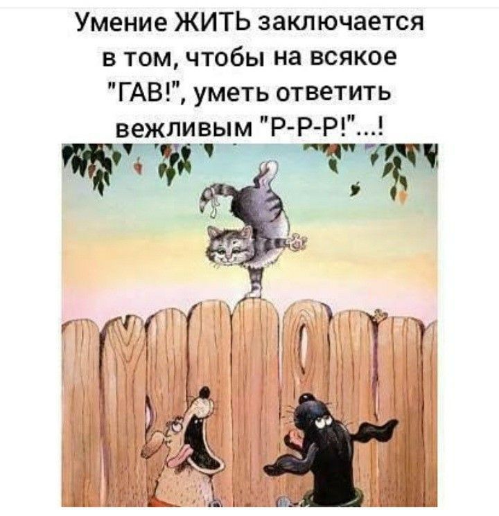 Умение ЖИТЬ заключается в том чтобы на всякое ГАВ уметь ответить вежливым Р РР