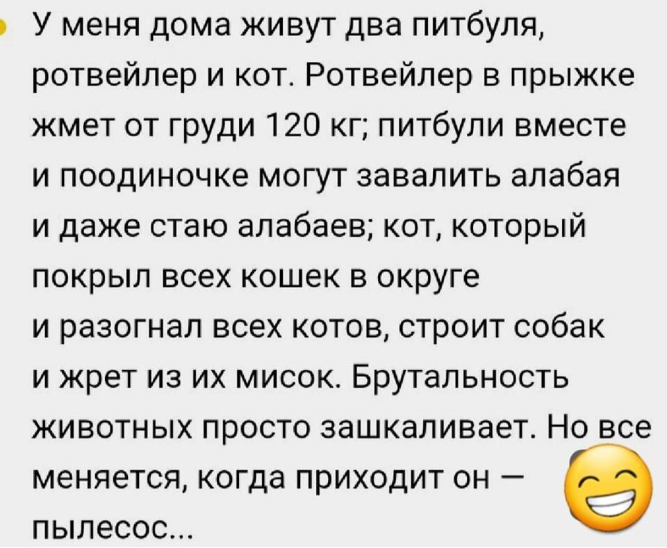 У меня дома кивут два питбуля ротвейлер и кот Ротвейлер в прыжке жмет от груди 120 кг питбупи вместе и поодиночке могут завалить алабая и даже стаю алабаеВ кот который покрыл всех кошек в округе и разогнал всех котов строит собак и жрет из их мисок Брутальность животных просто зашкаливает Но все МЕНЯЕТСЯ когда ПРИХОДИТ ОН _ е пылесос