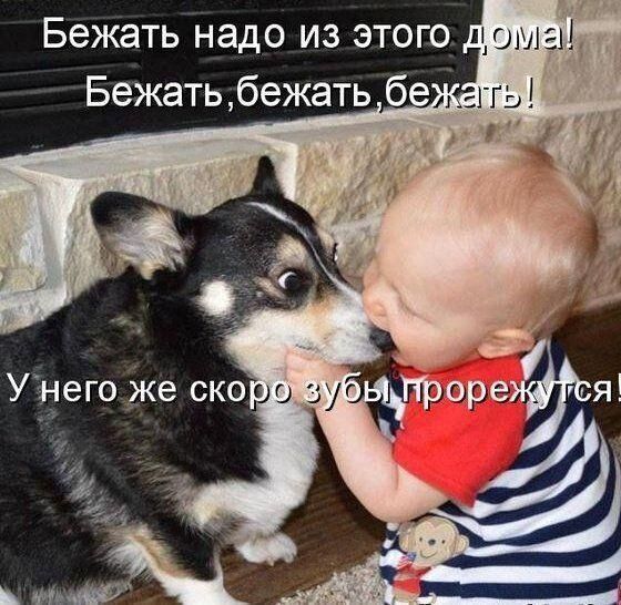Бежать надо из этого яшма _і Ы