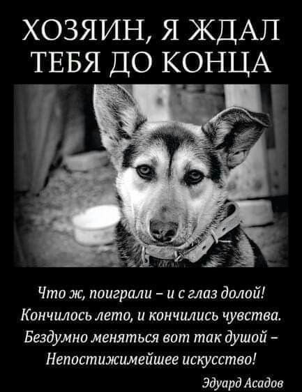 хозяин я ЖДАП _ГЕБЯ ДО КОНЦА Что ж поиграли и с глаз долой Кончилось лето и кончились чувства Бездумно меняться вот так душой Непастижимейшее искжтво Эдуард Адидас