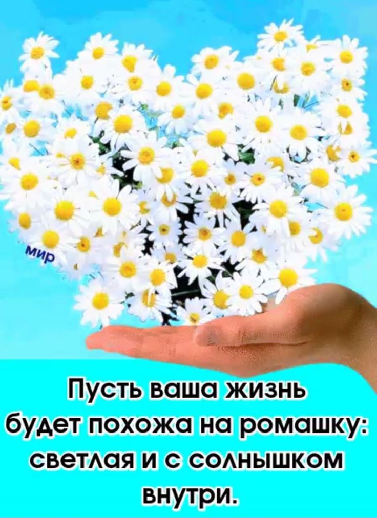 Пусть ваша жизнь будет похожа на ромашку светлая и с солнышком внутри картинки