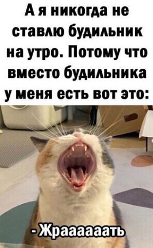 А я никогда не ставлю будильник на утро Потому что вместо будильника у меня есть вот это