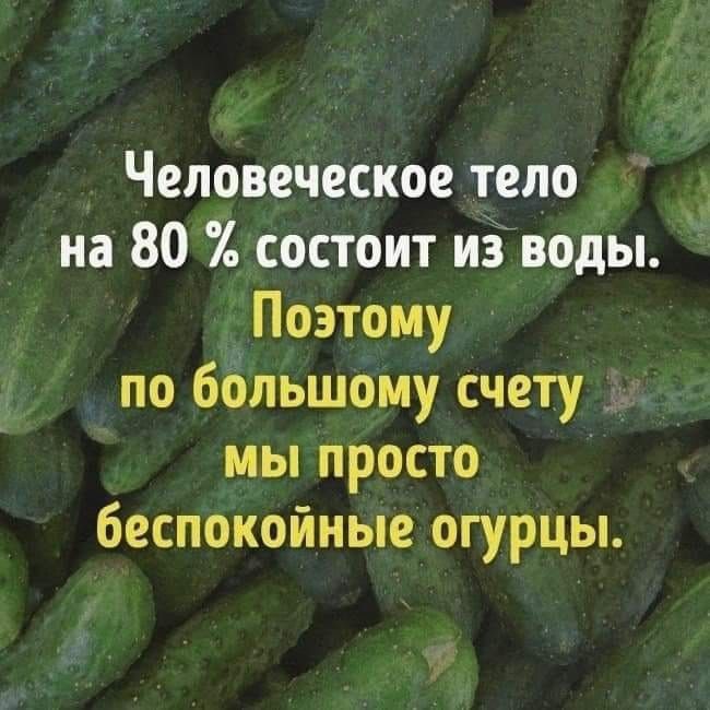 Человеческое тело на 80 состоит из воды Поэтому по большому счету мы просто беспокойные огурцы