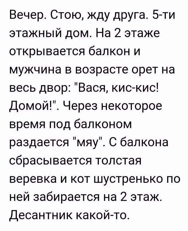 Вечер Стою жду друга 5 ти этажный дом На 2 этаже открывается балкон и мужчина в возрасте орет на весь двор Вася кис кис Домой Через некоторое время под балконом раздается мяу С балкона сбрасывается толстая веревка и кот шустренько по ней забирается на 2 этаж Десантник какой то