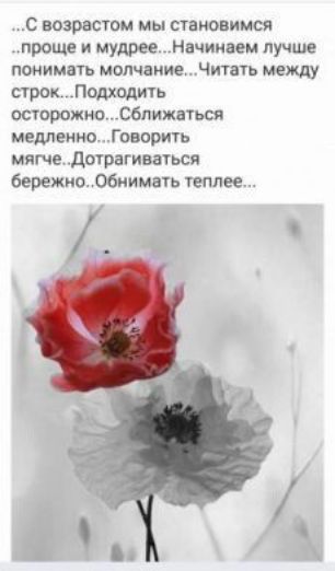 С возрастом мы становимся проще мудрее Начииаем лучше понимать молчание Читать между строк Подходить осторожно СближаТЬся медленно Говорить мягче дотрагиваться бережно обнимать теплее