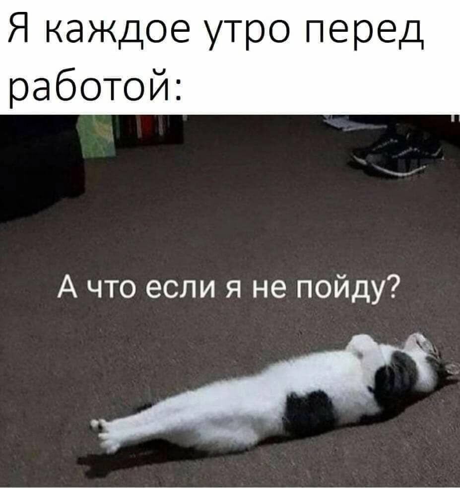 Я каждое утро перед работой А что если я не пойду