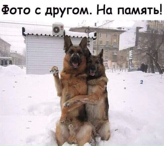 Фото с другом На память