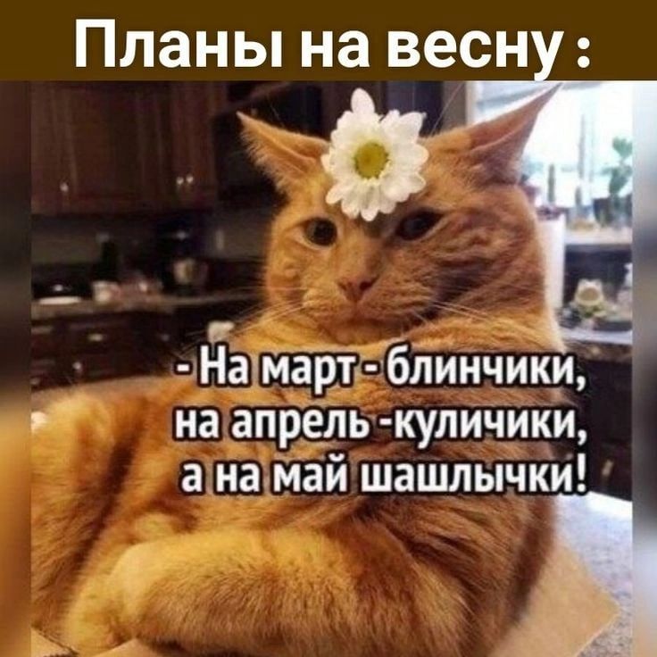 Планы на весы 7 НаМарт блинчики на апрель куличики анадай шашлычки