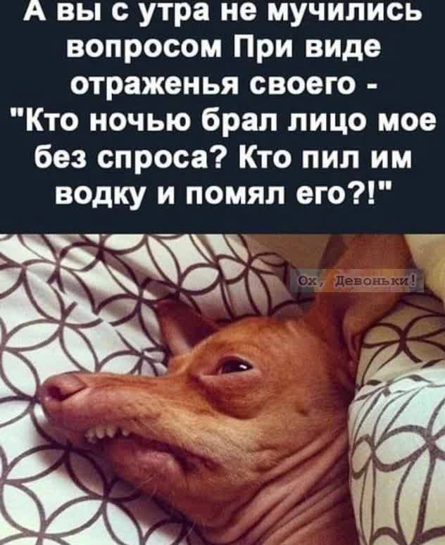 А выс утра не мучились вопросом При виде отраженья своего Кто ночью брал лицо мое без спроса Кто пип им водку и помял его РЖЁЁ 1
