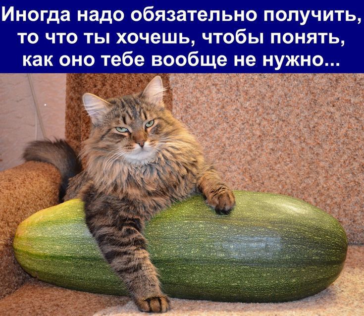 Иногда надо обязательно получить то что ты хочешь чтобы понять