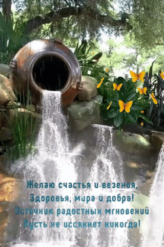 тиши ты
