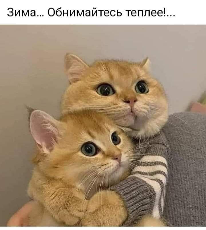 Зима Обнимайтесь тепле