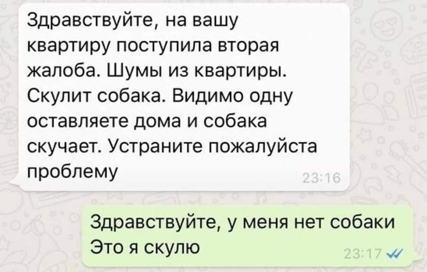 Здравствуйте на вашу квартиру поступила вторая жалоба Шумы из квартиры Скупит собака Видимо одну оставляете дома и собака скучает Устраните пожалуйста проблему Здравствуйте у меня нет собаки Это я скулю