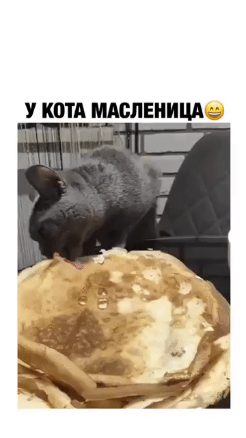 У КОТА МАСЛЕНИЦАё _