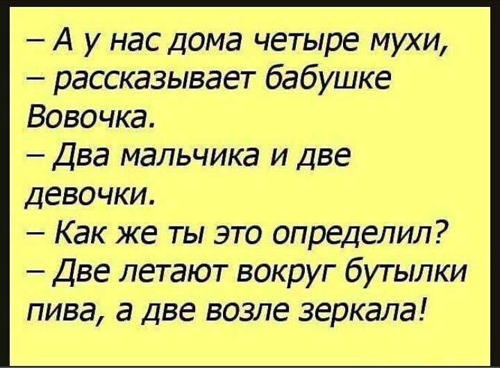 А у нас дома четыре мухи рассказывает бабушке Вовочка Два мальчика и две Девочки Как же ты это определил Две летают вокруг бутылки пива а две возле зеркала