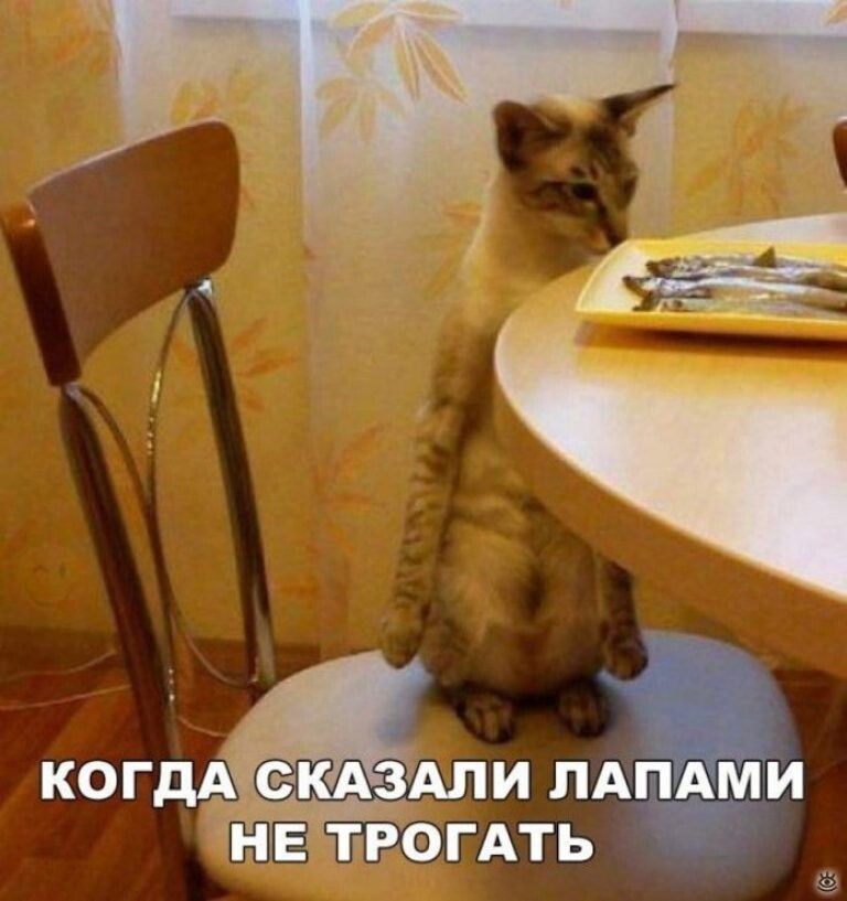 КОГДА АЛИ ПА И ГАТЬ