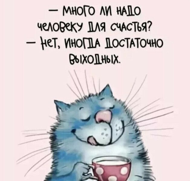 МЮИ 1 0 0909 МЯ кТ ино постит ВЬЖОШЫХ