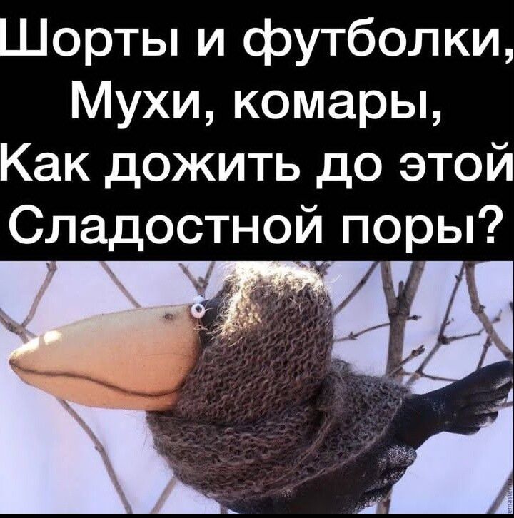 Шорты и футболки Мухи комары Как дожить до этой Сладостной поры Ъ и