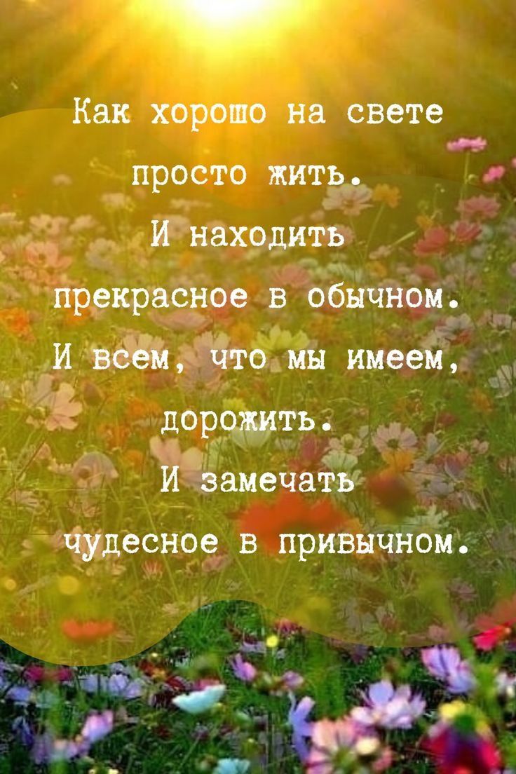 Еее в обычны дор ть видам 4
