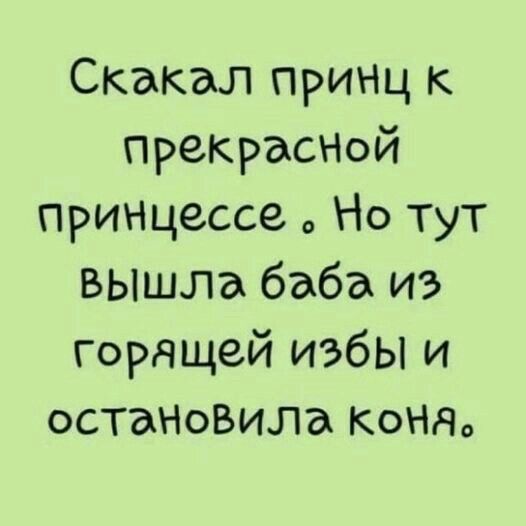 Скакал принц к прекрасНой ПРИНцессе Но туТ вышла баба из горящей избы и остаНоВила КОНЯ