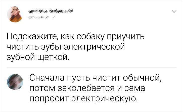 ими ша Подскажите как собаку приучить чистить зубы электрической зубной щеткой Сначала пусть чистит обычной потом заколебается и сама попросит ЭЛЕКТРИЧЕСКУЮ