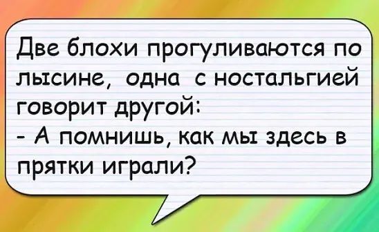 Две блохи прогуливаются по лысине одна с ностальгией говорит другой А помнишь как мы здесь в прятки играли