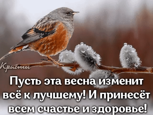 Чу Пусть эта весна изменит всё к лучшему И принесёт когда