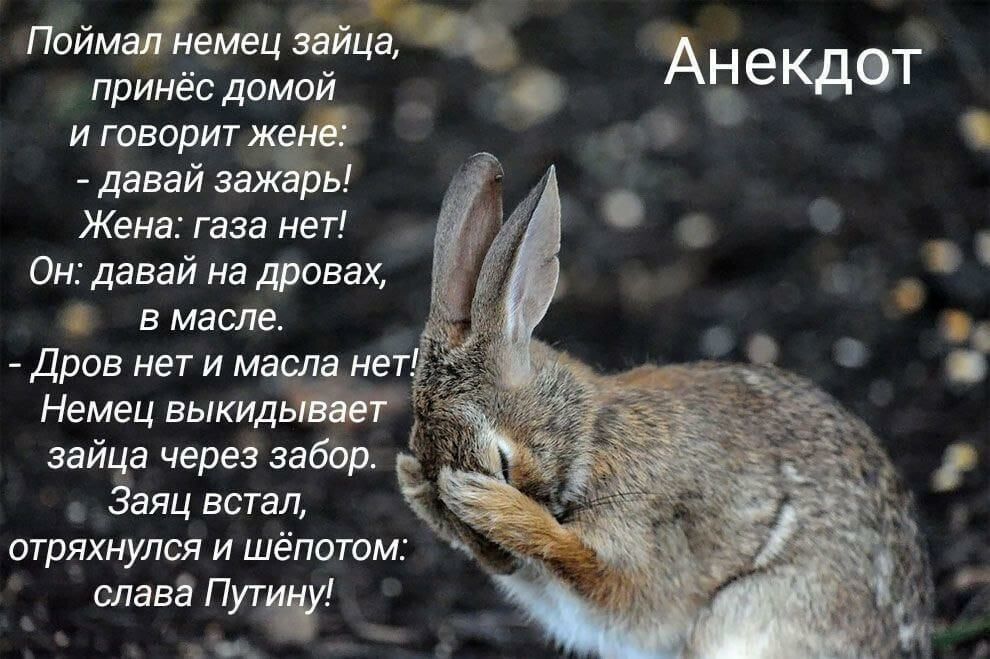 Ппймаімемец зайца А Н 6 Кдт ч принёс домой и говор давай з ь Жене газа нет с Ом давай на дровах в масле дров нет и масёв мет Немец выкидь эаица через забЪл Заяц встал атряхнулся и шёпотом славгПут кт