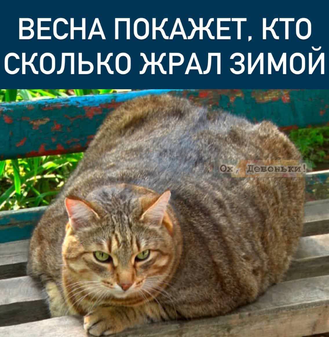 ВЕСНА ПОКАЖЕТ КТО СКОЛЬКО ЖРАЛ ЗИМОИ