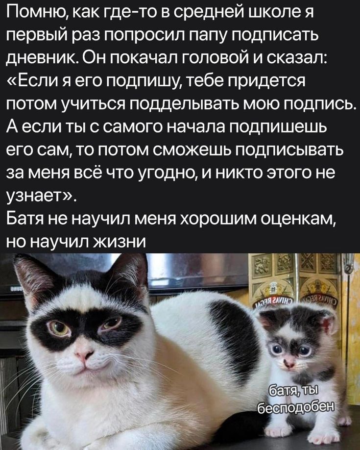 Помню как гдето в средней школе я первый раз попросил папу подписать дневник Он покачал головой и сказал Если я его подпишу тебе придется потом учиться подделывать мою подпись А если ты с самого начала подпишешь его сам то потом сможешь подписывать за меня всё что угодно и никто этого не узнает Батя не научил меня хорошим оценкам но научил жизни