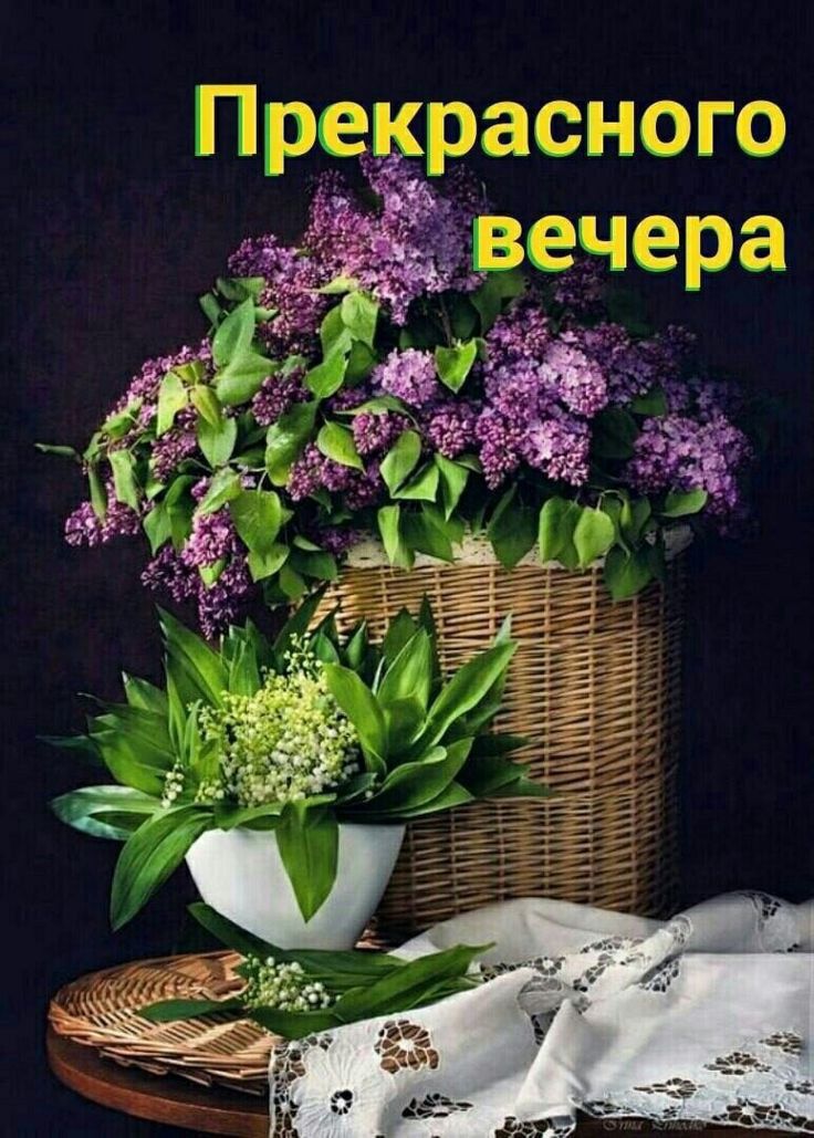 Ге Ч ера зече