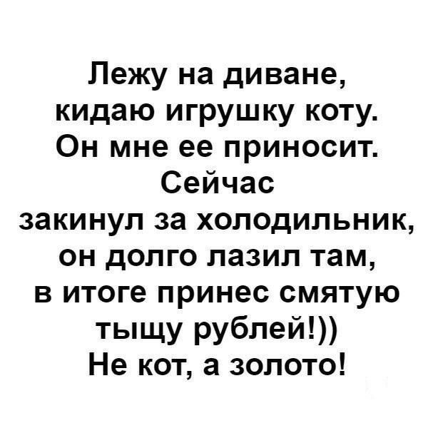 Лежу на диване кидаю игрушку коту Он мне ее приносит Сейчас закинул за холодильник он долго лазил там в итоге принес смятую тыщу рублей Не кот а золото