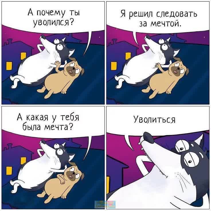 А почему ты Я решил следовать уволился за мечтой А какая у тебя была мечта