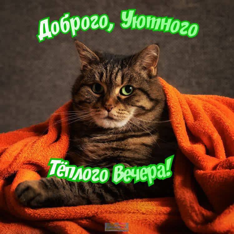 т Ё _ ль